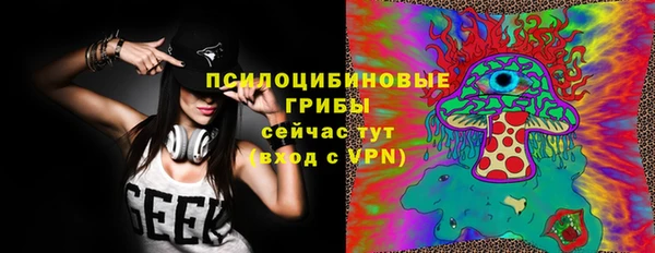 ешки Протвино