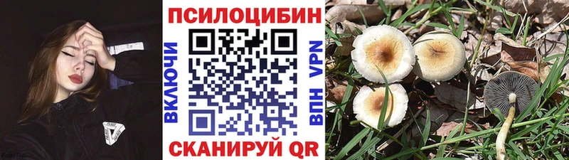 Псилоцибиновые грибы мухоморы Красный Кут
